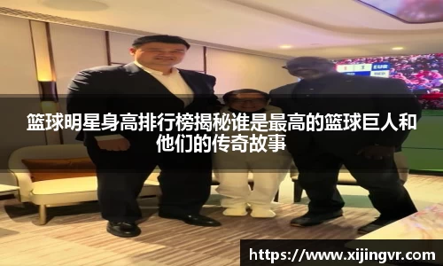 篮球明星身高排行榜揭秘谁是最高的篮球巨人和他们的传奇故事