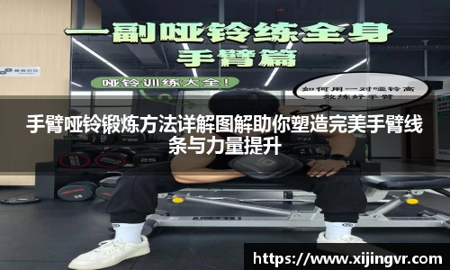 手臂哑铃锻炼方法详解图解助你塑造完美手臂线条与力量提升